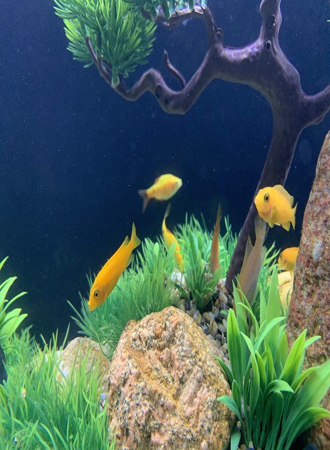 BEGONDIS مجموعة أشجار نباتات مائية خضراء اصطناعية لأحواض السمك من بيغوندس، 25 قطعة، زينة لأحواض السمك، مصنوعة من البلاستيك الناعم، آمنة لجميع الأسماك والحيوانات الأليفة (المجموعة 1) - Image 5